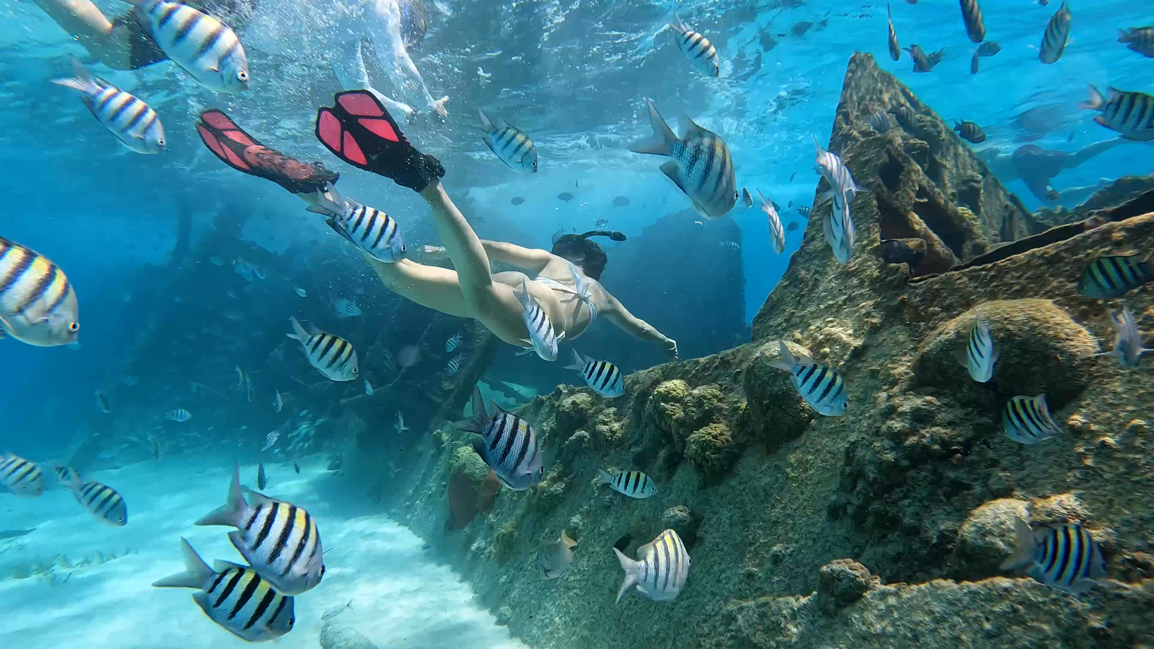 Snorkel & Isla