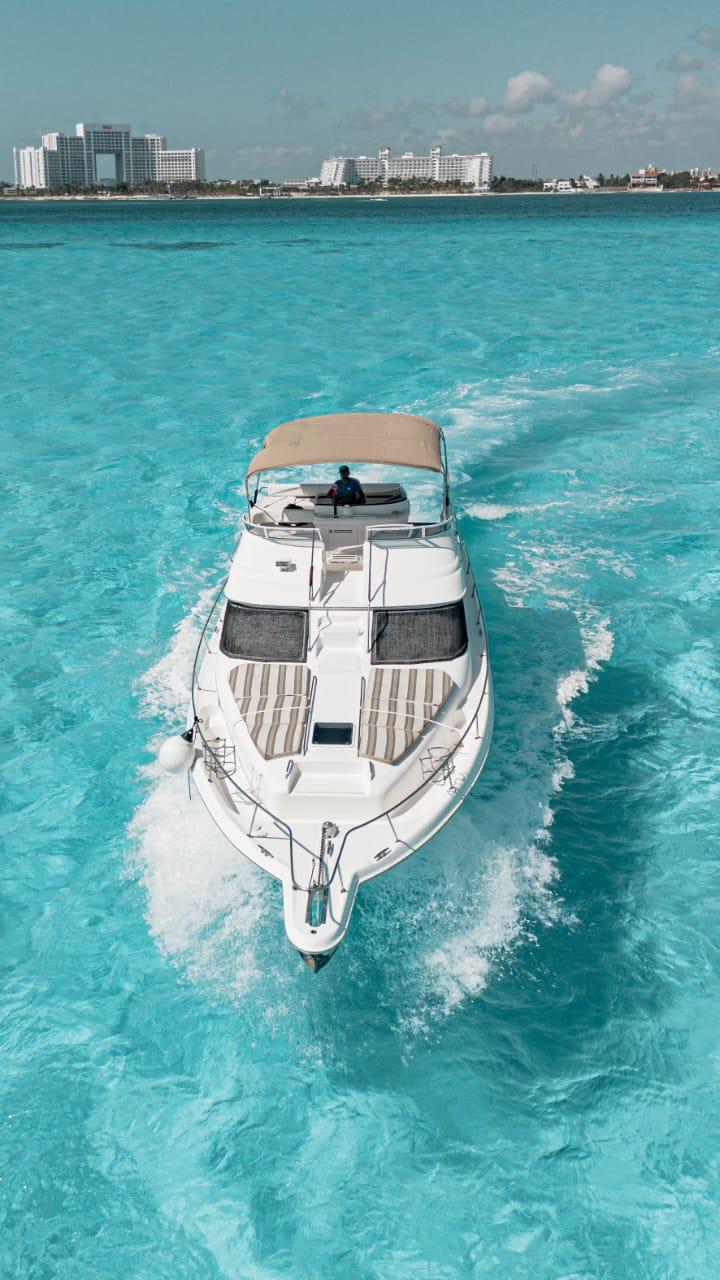Sea Ray 46